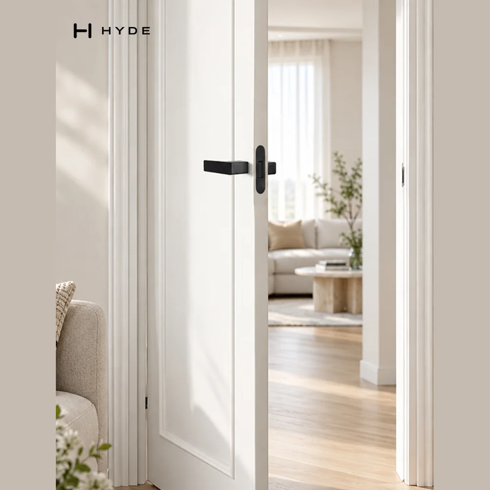 HYDE 8829 BL Magnetic Mortise Lever Lock, view 10