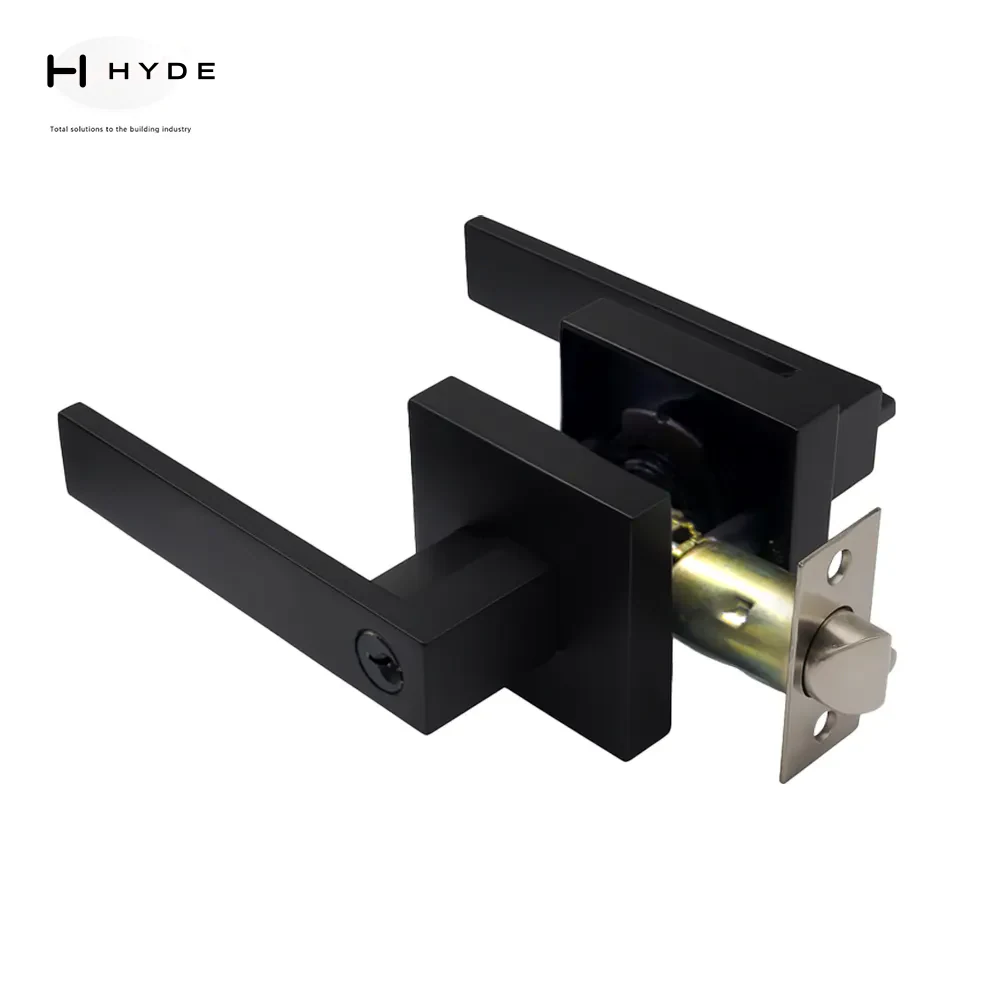 Stainless steel lever handle lock set on backplate