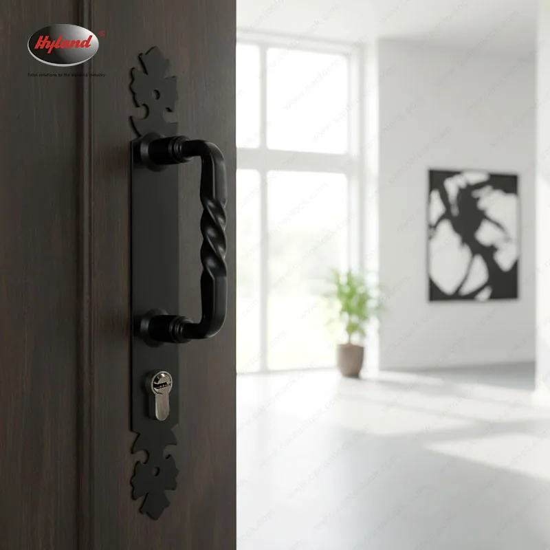 Hyland EH02 lever handle, view 5