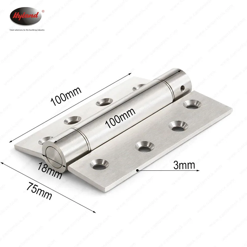 Hyland SSH023 brass and steel hinges, view 2