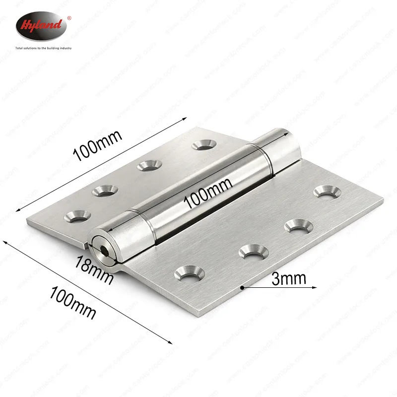 Hyland SSH023 brass and steel hinges, view 3